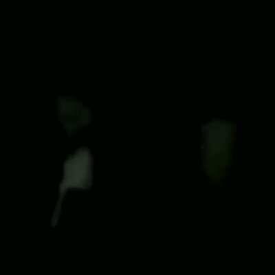 The one true god of anarchy shall rise above this land and massacre all in his path.