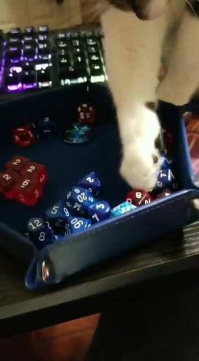 [OC] My cat wanted to play some DnD so I obliged
