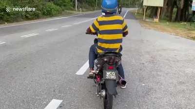 Rev. Wait. Rev. Wait. Pop clutch... Noooooooooo