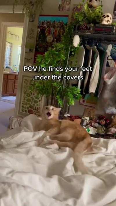 He likes feet a little too much.