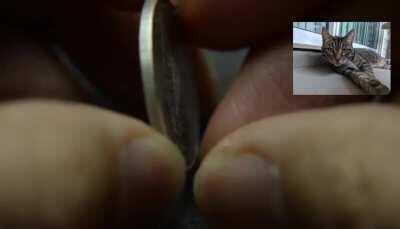 Made this solid silver cat coin for George’s. I hope George will approve it.