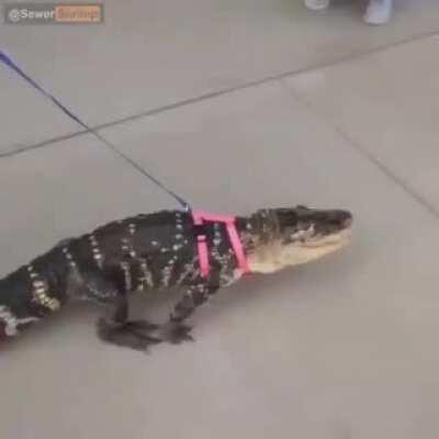 it’s that time of the week again