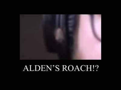 Didn't post it here because Alden's subreddit needs more attention