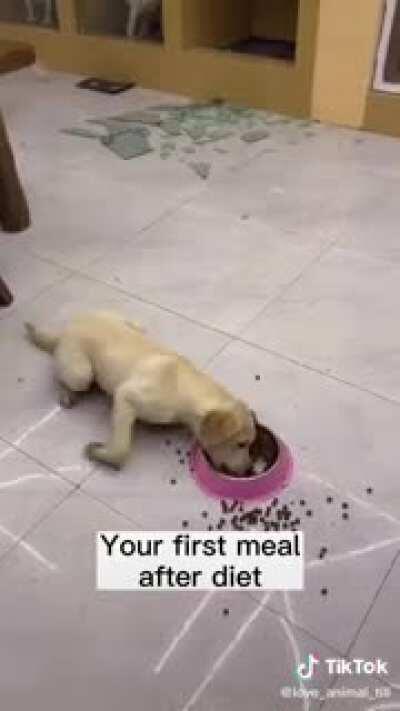 He even broke the door