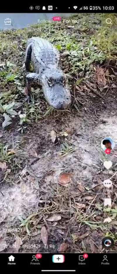 Not going to kill you. Still a bad idea though.