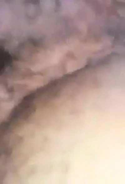 INSIDE CAR A Horny Punjabi Nri couple having Fun inside Car 😋 Full Video With clear Audio. FULL VIDEO DOWNLOAD LINK IN COMMENTS👇👇👇