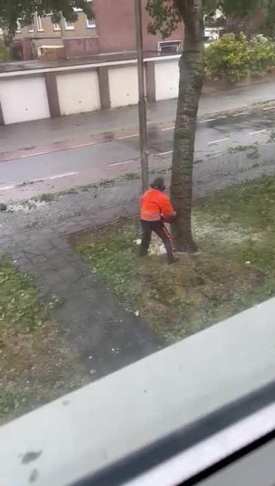 To cut down a tree without collateral damage