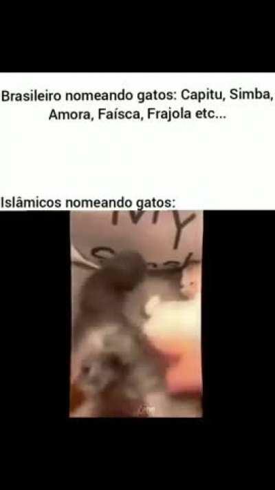 eu_nvr - Video #0009