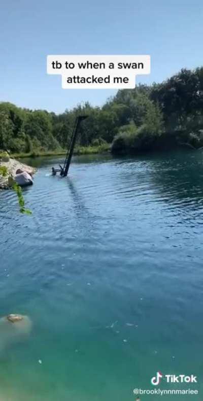 Entire earthquake going on there...