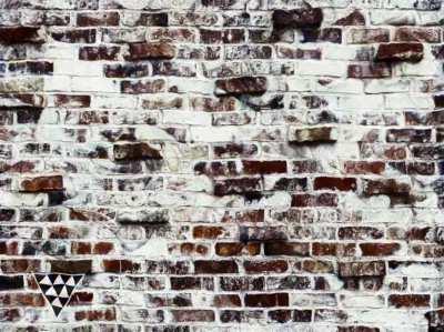 The wall is dancing!