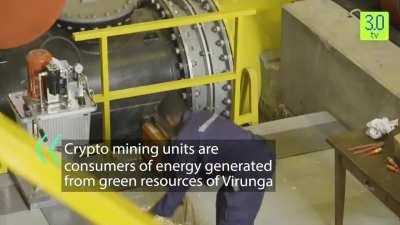 Bitcoin mining saved the Virunga National Park by using clean energy that would have gone to waste otherwise