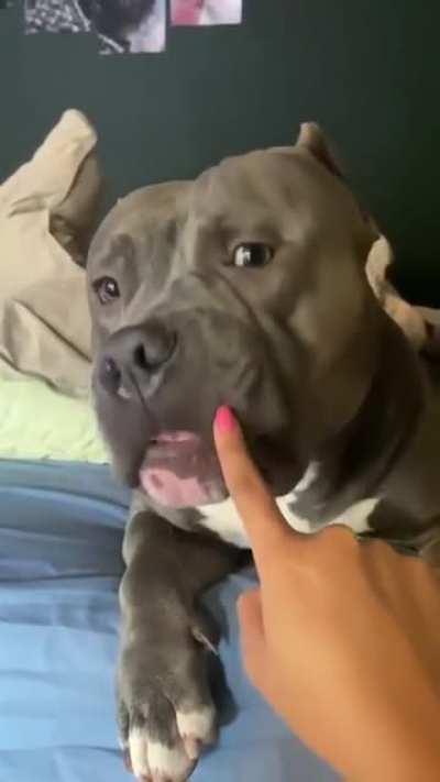 Seems quite accurate