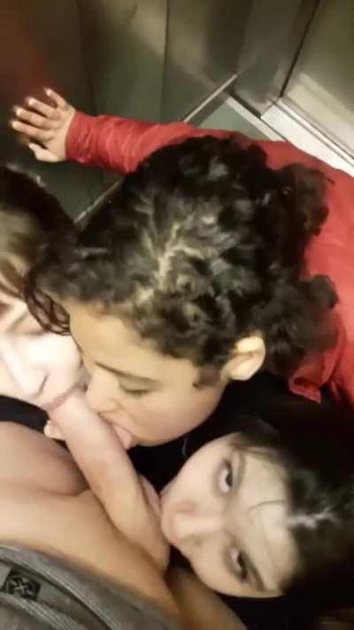 3 Sluts in an Elevator