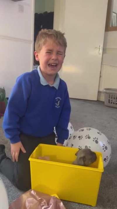 Little lad receives the best surprise of all on his 6th birthday (brand new best friend!)