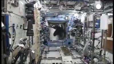 Imagine being in space then a fuckin ape comes out of nowhere chasing you in zero g