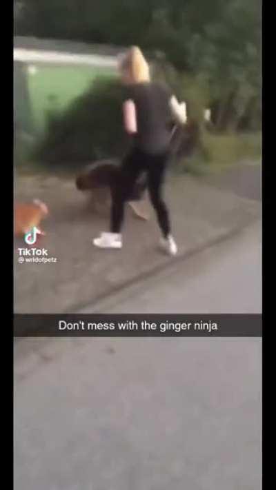 Don’t mess with ginger ninja
