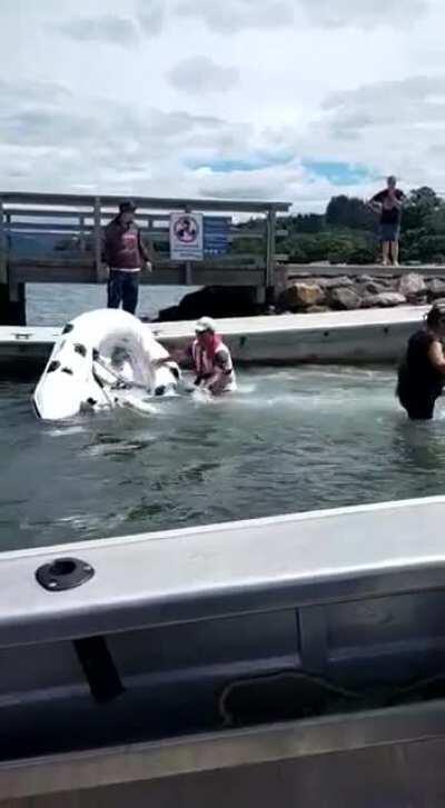 Just a thousand dollarz damage