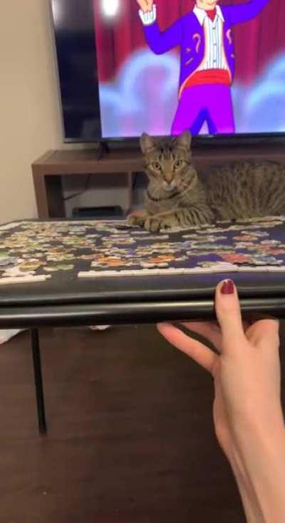 Could he be a bigger brat