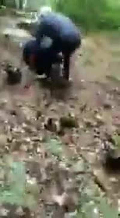 Stop Destroying Mother Nature!