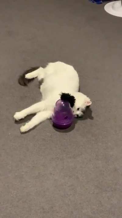 Eve can’t figure out her food puzzle