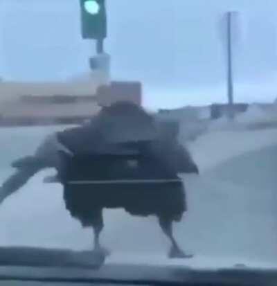 jubileu indo pegar pipoca