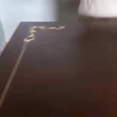 Thought it would fit here.