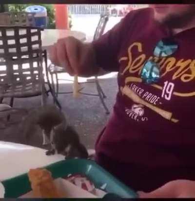 Should have never teased the squirrel.