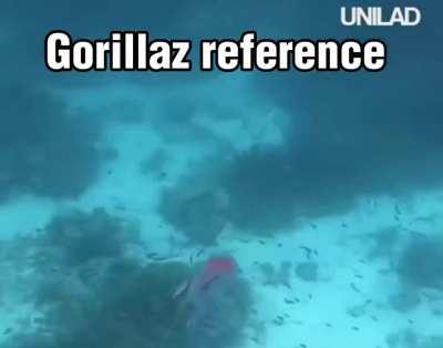 Super fast jellyfish