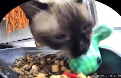 Wunk lost the plot but means well