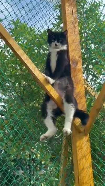 What do you think he is looking for or who is waiting for?