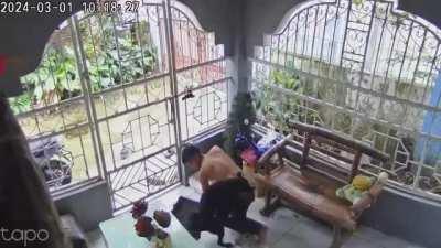 how told handle horny dog