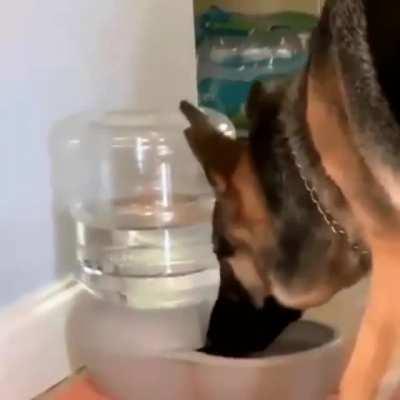 What the heck was that ?!