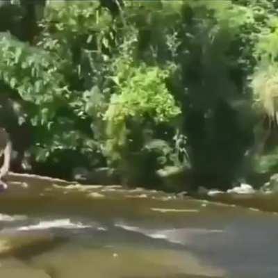 A bunch of foot surfers