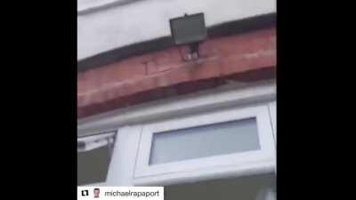 Ma! There's a weird VTuber outside!