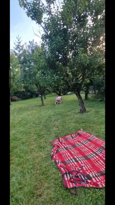 Playing in the garden