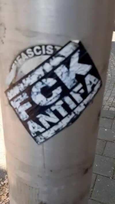 Doing some neighbourhood cleanup