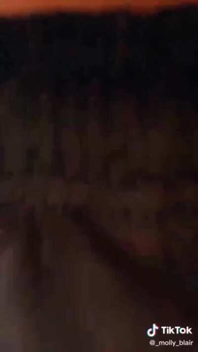 No disrespect, but I'll eat that 🍑