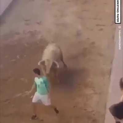 The balls of this guy... ...