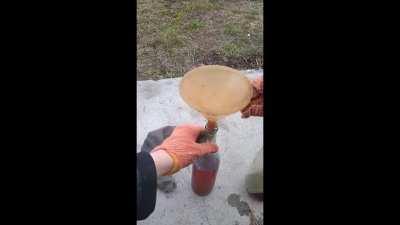 #STAND WITH SHANGHAIESE# 上海加油！上海人封城自救指南