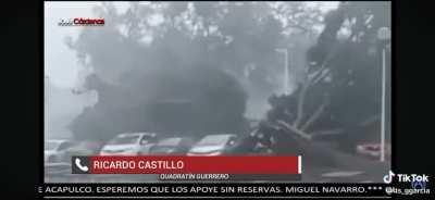 Parte 3 ( Acapulco )