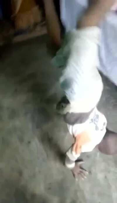 He’s got some nice moves