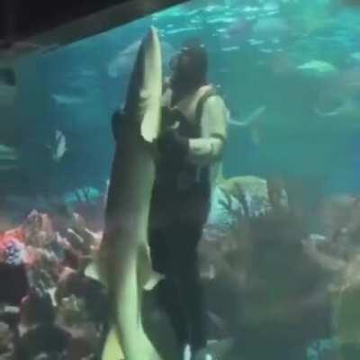 He's not jumping the shark: a dinner and a dance first