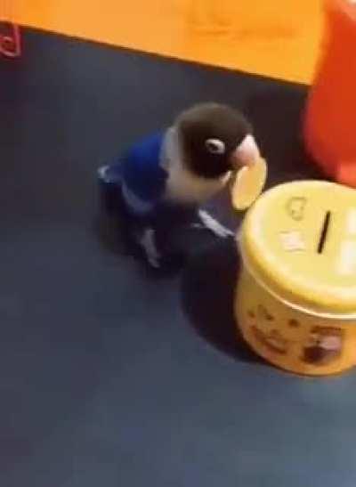 That's how Allay should work