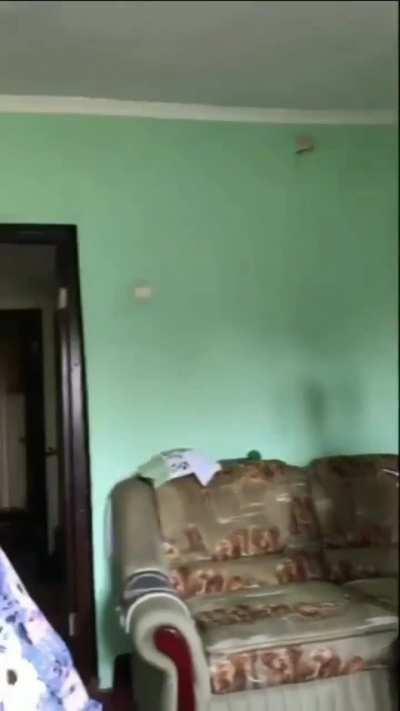 When you realize surpassing your genes was a mistake