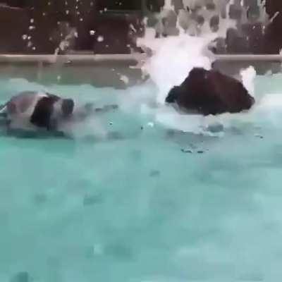 When you go to the pool with your short friend