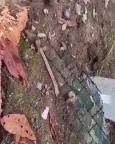 Saw this, thought it belonged here