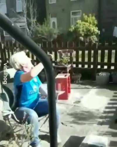 Doggo has found a clever way of playing fetch with his neighbor during lockdown