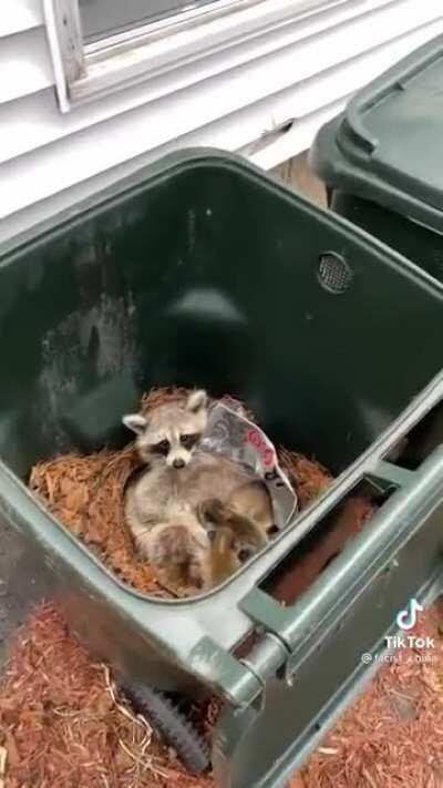 Mama with her children @facist_china on tiktok