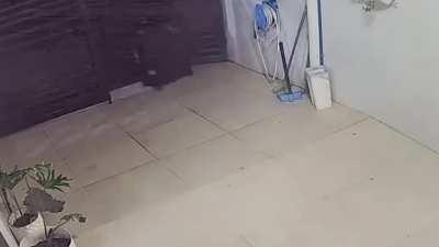 My luggage people need me.