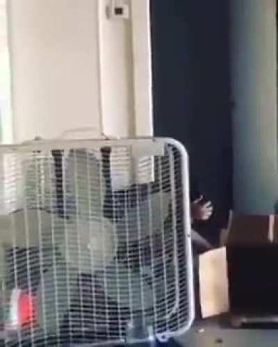 Man almost ends his life to show off.